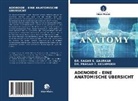 DR SAGA S GAURKAR, DR SAGAR S GAURKAR, DR. SAGAR S. GAURKAR, Sagar S. Gaurkar, DR PRASAD T DESHMUKH, DR. PRASAD T. DESHMUKH... - ADENOIDE - EINE ANATOMISCHE ÜBERSICHT