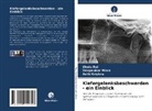 Aditi Krishna, Deepanka Misra, Deepankar Misra, Shal Rai, Shalu Rai - Kiefergelenksbeschwerden - ein Einblick