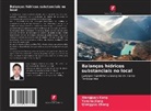 Yanshu Jiang, Xiangjuan Kong, Qiongyue Zhang - Balanços hídricos substanciais no local