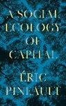 Eric Pineault, Éric Pineault, Eric (Universite Du Quebec a Montreal) Pineault - Social Ecology of Capital