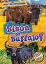 Mari C Schuh, Mari C. Schuh - Bison or Buffalo?
