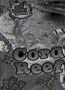Karen Kenney - Coral Reefs