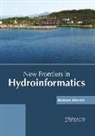 Roman Morris - New Frontiers in Hydroinformatics