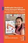 Sally Brown, Ling Hao - Multimodal Literacies in Young Emergent Bilinguals