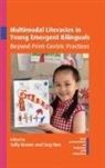 Sally Brown, Ling Hao - Multimodal Literacies in Young Emergent Bilinguals