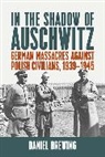 Daniel Brewing - In the Shadow of Auschwitz