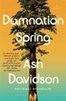 Ash Davidson - Damnation Spring