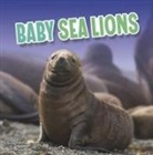 Martha E. H. Rustad, RUSTAD MARTHA E H - BABY SEA LIONS