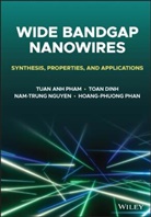Toan Dinh, Nam-Trung Nguyen, Nam-Trung et al Nguyen, Nguyen Nam-Trung, Pham, Ta Pham... - Wide Bandgap Nanowires