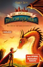 Emily Skye, Pascal Nöldner - Die geheime Drachenschule