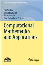 Aliaa Burqan, Aliaa Burqan et al, Seshade Padhi, Seshadev Padhi, Peer Ueberholz, Dia Zeidan - Computational Mathematics and Applications