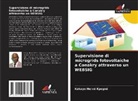 Kakayo Hervé Kpegné - Supervisione di microgrids fotovoltaiche a Conakry attraverso un WEBSIG