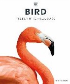 DK, Phonic Books - Bird