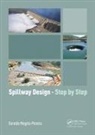 Geraldo Magela Pereira, Geraldo Magela Pereira - Spillway Design - Step By Step