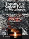 Róbert Findorák, Mária Fröhlichová, Jaroslav Legemza, Jaroslav (Technical University of Kosice Legemza, Jaroslav Froehlichova Legemza - Biomass and Carbon Fuels in Metallurgy