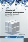 Mihai Putz, Mihai V. Putz - The Cube of Strategic Management