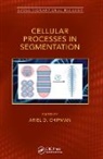 Ariel Chipman, Ariel D. Chipman, Ariel Chipman - Cellular Processes in Segmentation