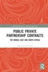 Mohamed Ismail, Mohamed A.M. Ismail, Mohamed Am Ismail, Ismail Mohamed - Public Private Partnership Contracts