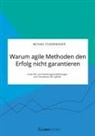 Michael Sturzenegger - Warum agile Methoden den Erfolg nicht garantieren. Ursachen und Handlungsempfehlungen zum Paradoxon der Agilität