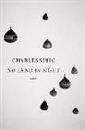 Charles Simic - No Land in Sight