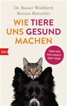 Bettina Mutschler, Rainer Wohlfahrt - Wie Tiere uns gesund machen