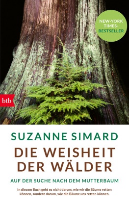 Suzanne Simard - Die Weisheit der Wälder - Auf der Suche nach dem Mutterbaum