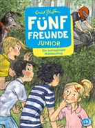 Enid Blyton, Gerda Raidt - Fünf Freunde JUNIOR - Ein aufregender Waldausflug