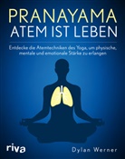 Dylan Werner - Pranayama - Atem ist Leben