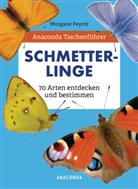 Morgane Peyrot, Lise Herzog - Anaconda Taschenführer Schmetterlinge. 70 Arten entdecken und bestimmen