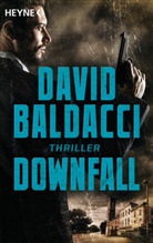 David Baldacci - Downfall
