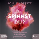 Sonja Koppitz, Sonja Koppitz - Spinnst du?, 2 Audio-CD, 2 MP3 (Audio book)