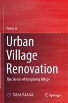 Peilin Li - Urban Village Renovation