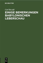 Carl Bezold - Einige Bemerkungen babylonischen Leberschau