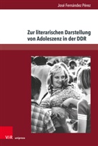 José Fernández Pérez, Jose Fernández Pérez - Zur literarischen Darstellung von Adoleszenz in der DDR