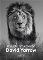 David Yarrow - Wie ich Fotos mache