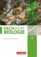 Anke Pohlmann, Ud Hampl, Udo Hampl, Kathri Janik, Kathrin Janik, Kathrin Janik... - Fachwerk Biologie - Sachsen - 9. Schuljahr