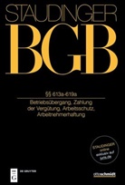 Georg Annuß, Georg Annuss u a, Philipp S. Fischinger, Hartmut Oetker, Reinhar Richardi, Reinhard Richardi... - J. von Staudingers Kommentar zum Bürgerlichen Gesetzbuch mit Einführungsgesetz und Nebengesetzen. Recht der Schuldverhältnisse - Buch 2: §§ 613a-619a