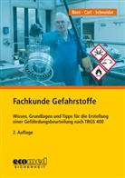 Michae Born, Michael Born, Claudi Carl, Claudia Carl, Gerald Schneider - Fachkunde Gefahrstoffe
