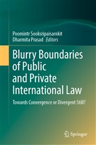 Prasad, Prasad, Dharmita Prasad, Poomint Sooksripaisarnkit, Poomintr Sooksripaisarnkit - Blurry Boundaries of Public and Private International Law