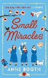 Anne Booth - Small Miracles