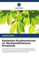 Anatoly Belov - Kastanien-Kryphonekrose im Nordwestkaukasus Russlands