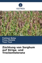 Fantay Belay, Fantaye Belay, Fire Mekbib, Firew Mekbib, Taye Taye - Züchtung von Sorghum auf Striga- und Trockentoleranz