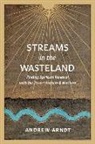 Andrew Arndt - Streams in the Wasteland: Finding Spiritual Renewal with the Desert Fathers and Mothers