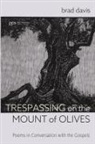 Brad Davis - Trespassing on the Mount of Olives
