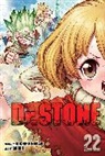 Riichiro Inagaki, Riichiro Inagaki, Boichi - Dr. STONE, Vol. 22