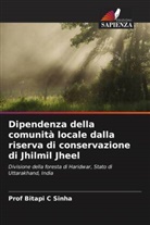 Bitapi C Sinha, Prof Bitapi C Sinha - Dipendenza della comunità locale dalla riserva di conservazione di Jhilmil Jheel