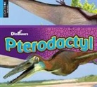 Aaron Carr - Pterodactyl