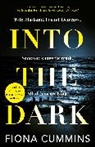 FIONA CUMMINS, Cummins Fiona - Into the Dark