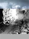 Fay Blanchard, Anthony Spira, Gilane Tawadros - Ingrid Pollard