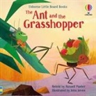 Russell Punter, Punter Russell, John Joven, Joven John - Ant and the Grasshopper